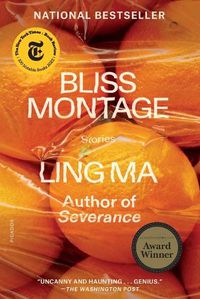 Cover image for Bliss Montage