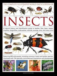 Cover image for Complete Illustrated World Encyclopedia of Insects