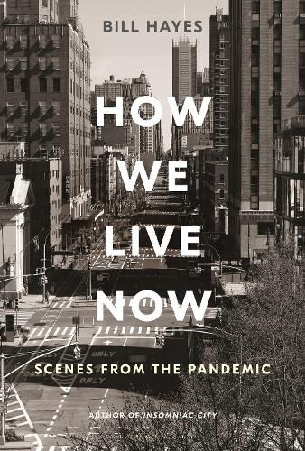 Cover image for How We Live Now