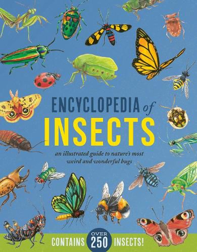 Cover image for Encyclopedia of Insects: An Illustrated Guide to Nature's Most Weird and Wonderful Bugs