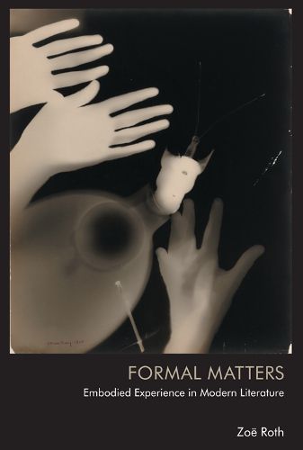 Cover image for Formal Matters: Embodied Experience in Modern Literature