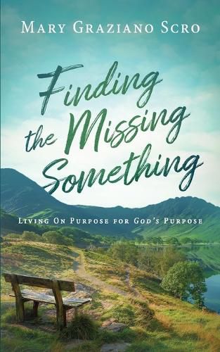 Cover image for Finding the Missing Something