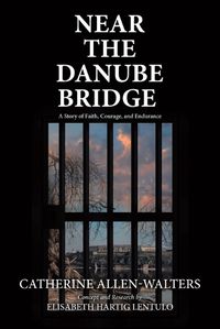 Cover image for Near the Danube Bridge