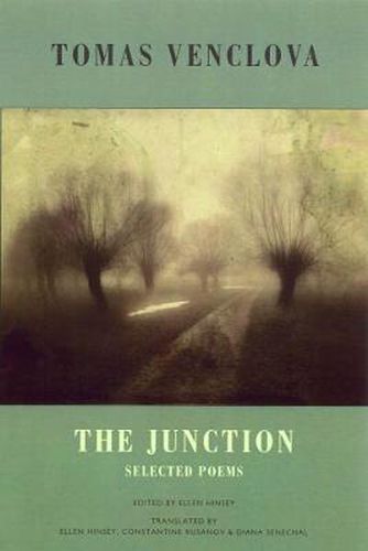 Cover image for The Junction: Selected Poems