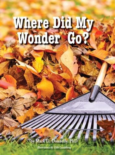 Cover image for Where Did My Wonder Go?