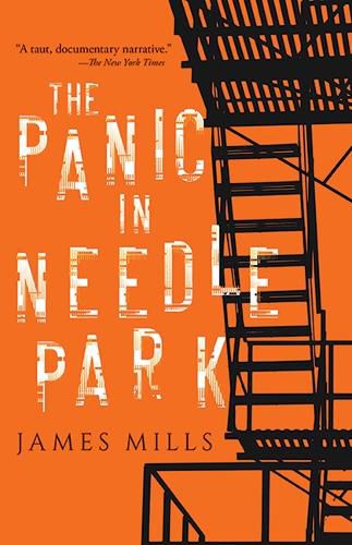 Cover image for Panic in Needle Park