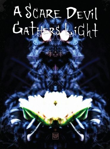 Cover image for A Scare Devil Gathers Light