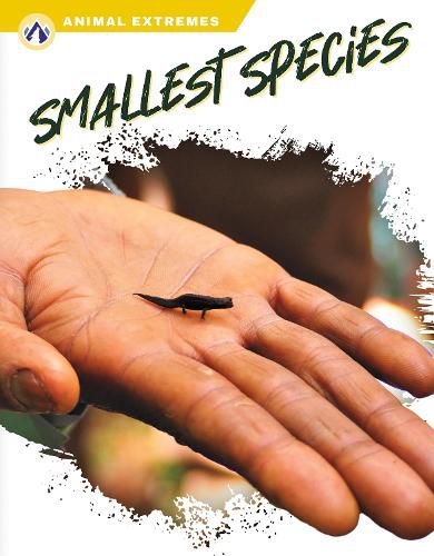 Cover image for Smallest Species