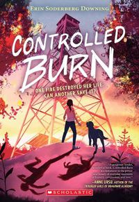 Cover image for Controlled Burn