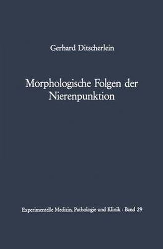 Cover image for Morphologische Folgen der Nierenpunktion