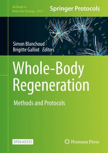 Cover image for Whole-Body Regeneration: Methods and Protocols
