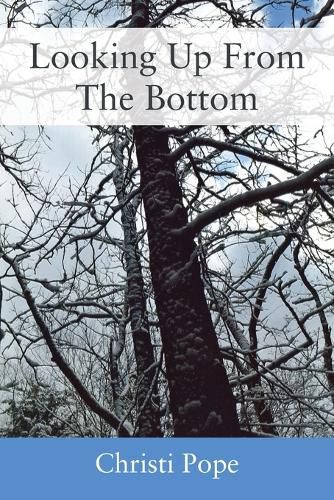 Cover image for Looking Up From The Bottom