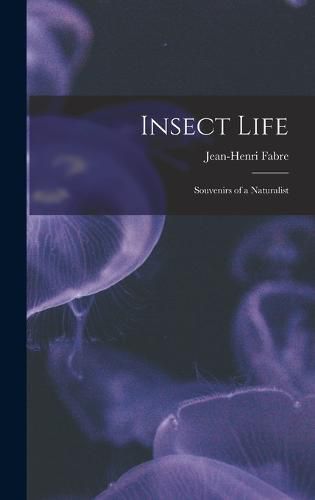 Cover image for Insect Life