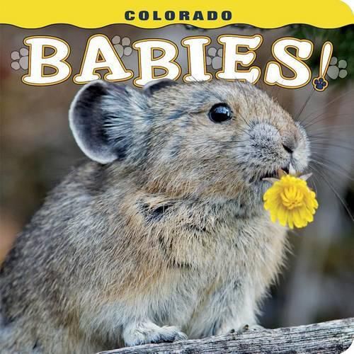 Cover image for Colorado Babies!