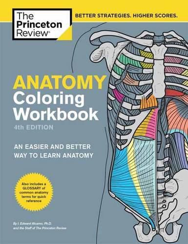 Cover image for Anatomy Coloring Workbook, 4th Edition: An Easier and Better Way to Learn Anatomy