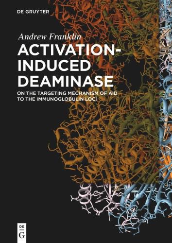 Cover image for Activation-Induced Deaminase: On the Targeting Mechanism of AID to the Immunoglobulin Loci