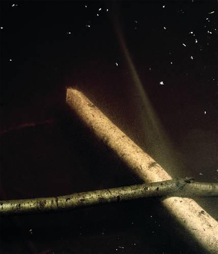 Cover image for Comme Un Murmure / Like a Whisper