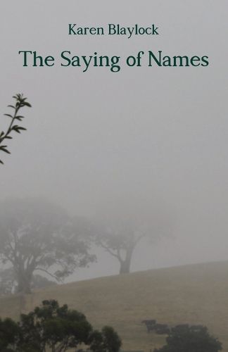 Cover image for The Saying of Names