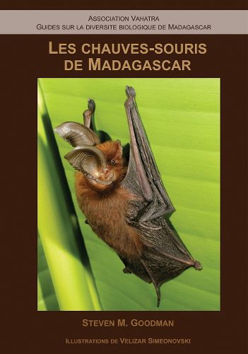 Cover image for Les Chauves-Souris de Madagascar