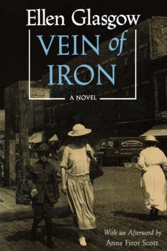 Cover image for Vein Of Iron