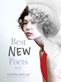 Cover image for Best New Poets 2017