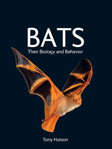 Cover image for Bats: Their Biology and Behavior