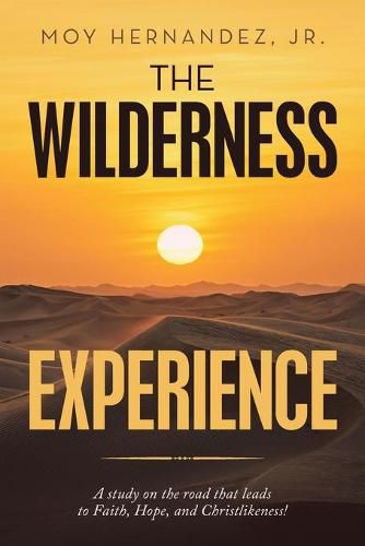 Cover image for The Wilderness Experience: A Study on the Road That Leads to Faith, Hope, and Christlikeness!