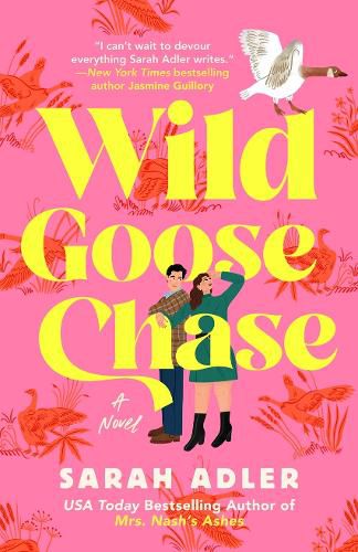 Cover image for Wild Goose Chase