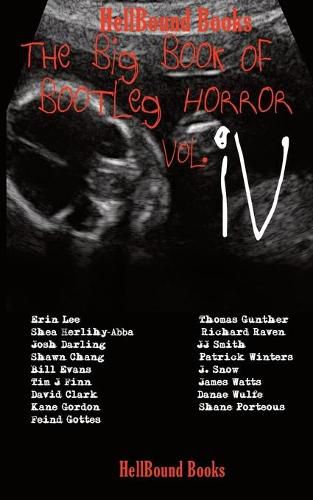 Cover image for The Big Book of Bootleg Horror Vol IV