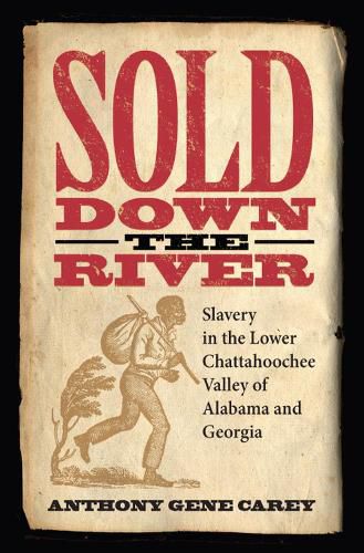 Cover image for Sold Down the River: Slavery in the Lower Chattahoochee Valley of Alabama and Georgia