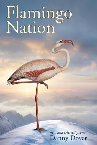 Cover image for Flamingo Nation