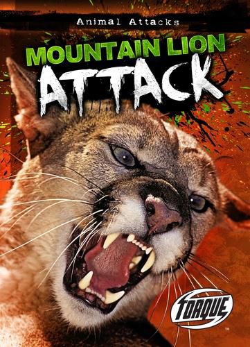 Cover image for Mountain Lion Attack