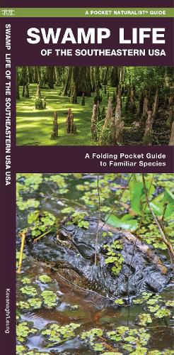 Cover image for Swamp Life of the Southeastern USA: A Folding Pocket Guide to Familiar Species