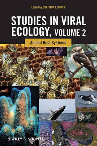 Cover image for Studies in Viral Ecology: Animal Host Systems