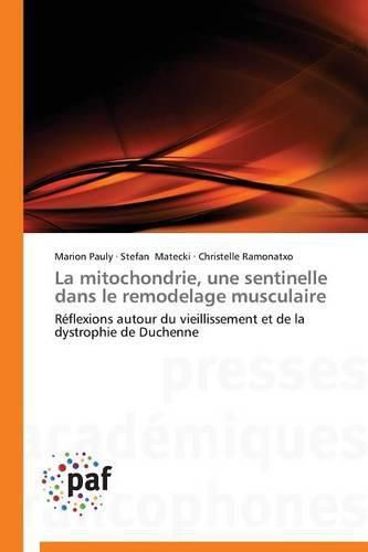 Cover image for La Mitochondrie, Une Sentinelle Dans Le Remodelage Musculaire