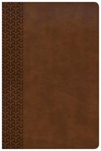 Cover image for CSB Everyday Study Bible, British Tan LeatherTouch