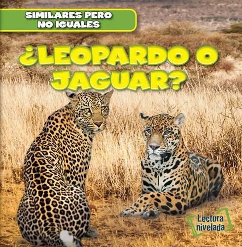 Cover image for ?Leopardo O Jaguar? (Leopard or Jaguar?)