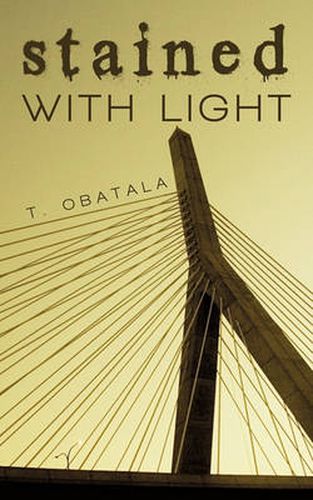 Cover image for Stained with Light