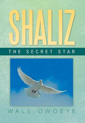 Cover image for Shaliz - The Secret Star