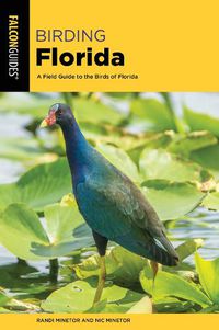 Cover image for Birding Florida: A Field Guide to the Birds of Florida