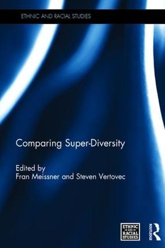 Cover image for Comparing Super-Diversity