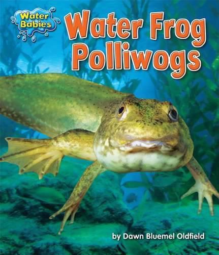 Cover image for Water Frog Polliwogs