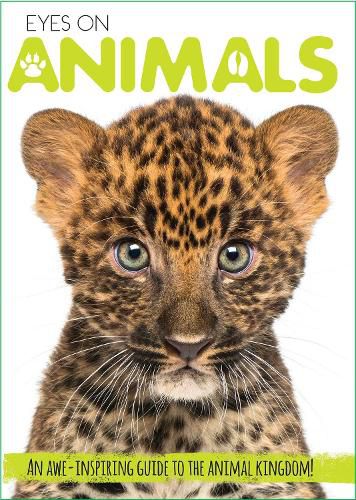 Cover image for Eyes On Animals