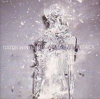 Cover image for 100th Window
