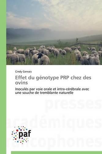 Cover image for Effet Du Genotype Prp Chez Des Ovins