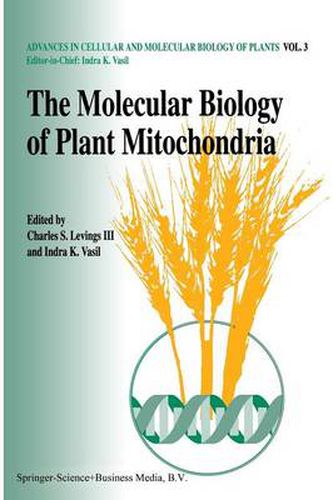 Cover image for The molecular biology of plant mitochondria