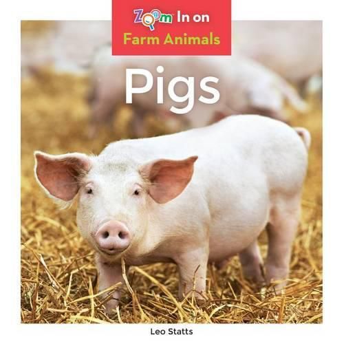 Cover image for Pigs