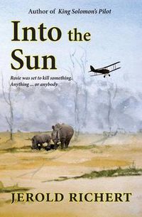 Cover image for Into the Sun