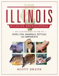 Cover image for Illinois Wildlife Encyclopedia: An Illustrated Guide to Birds, Fish, Mammals, Reptiles, and Amphibians