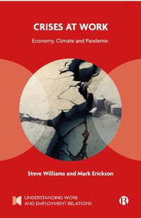 Cover image for Crises at Work